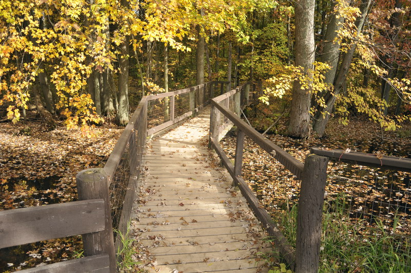 Woodtrail at Twin Vally Zoo