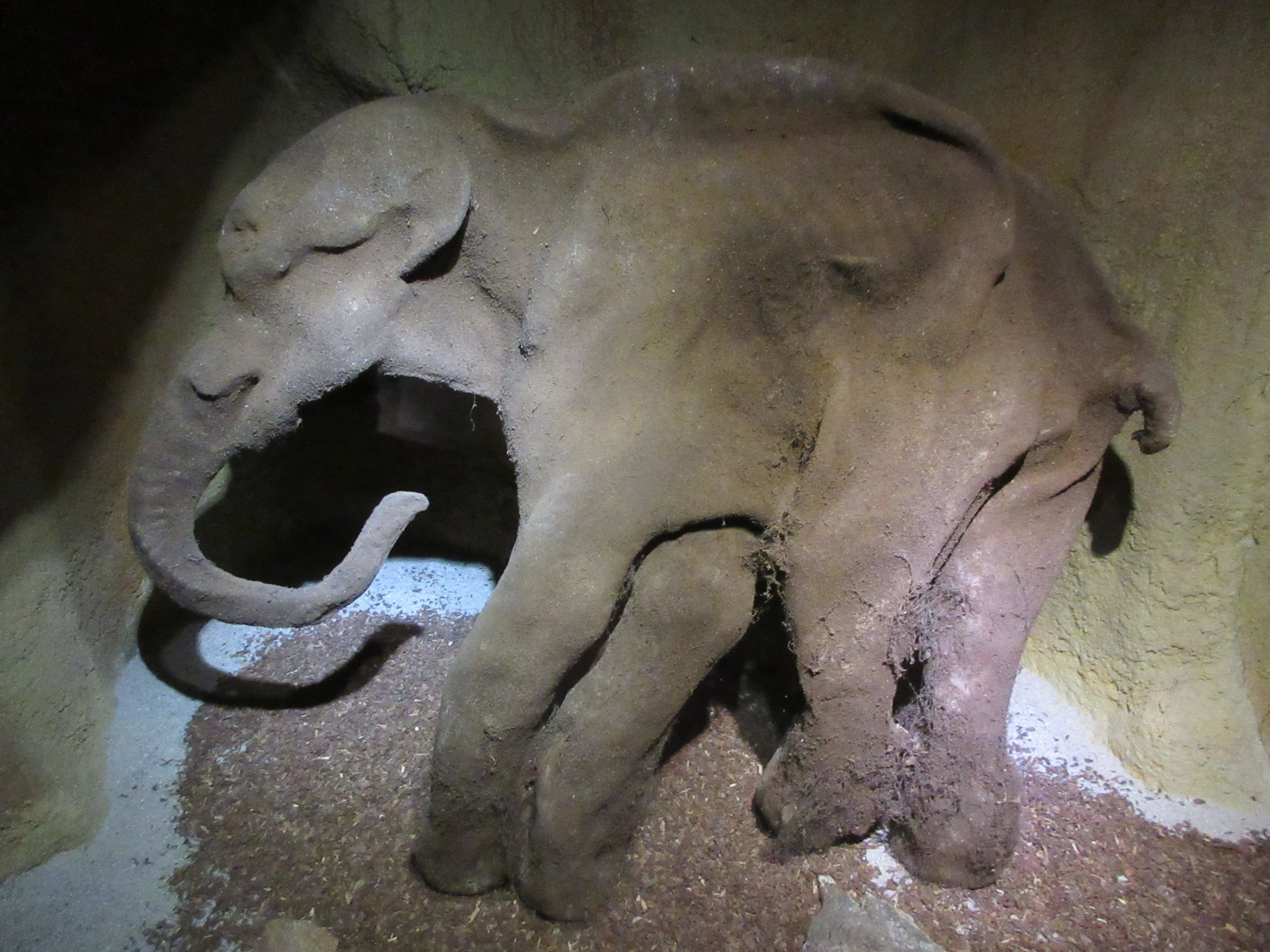 Woolly Mammoth (replica in zoo area)