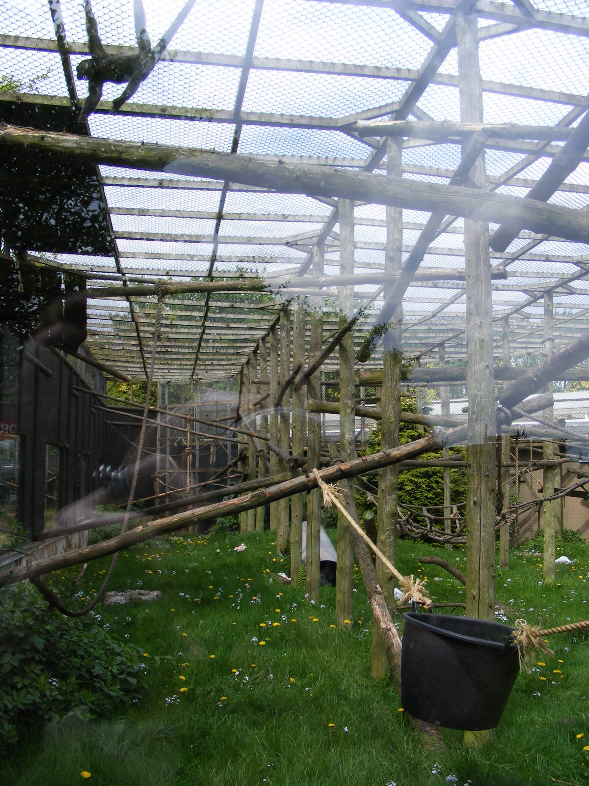 Woolly Monkey enclosure 2 May 2009