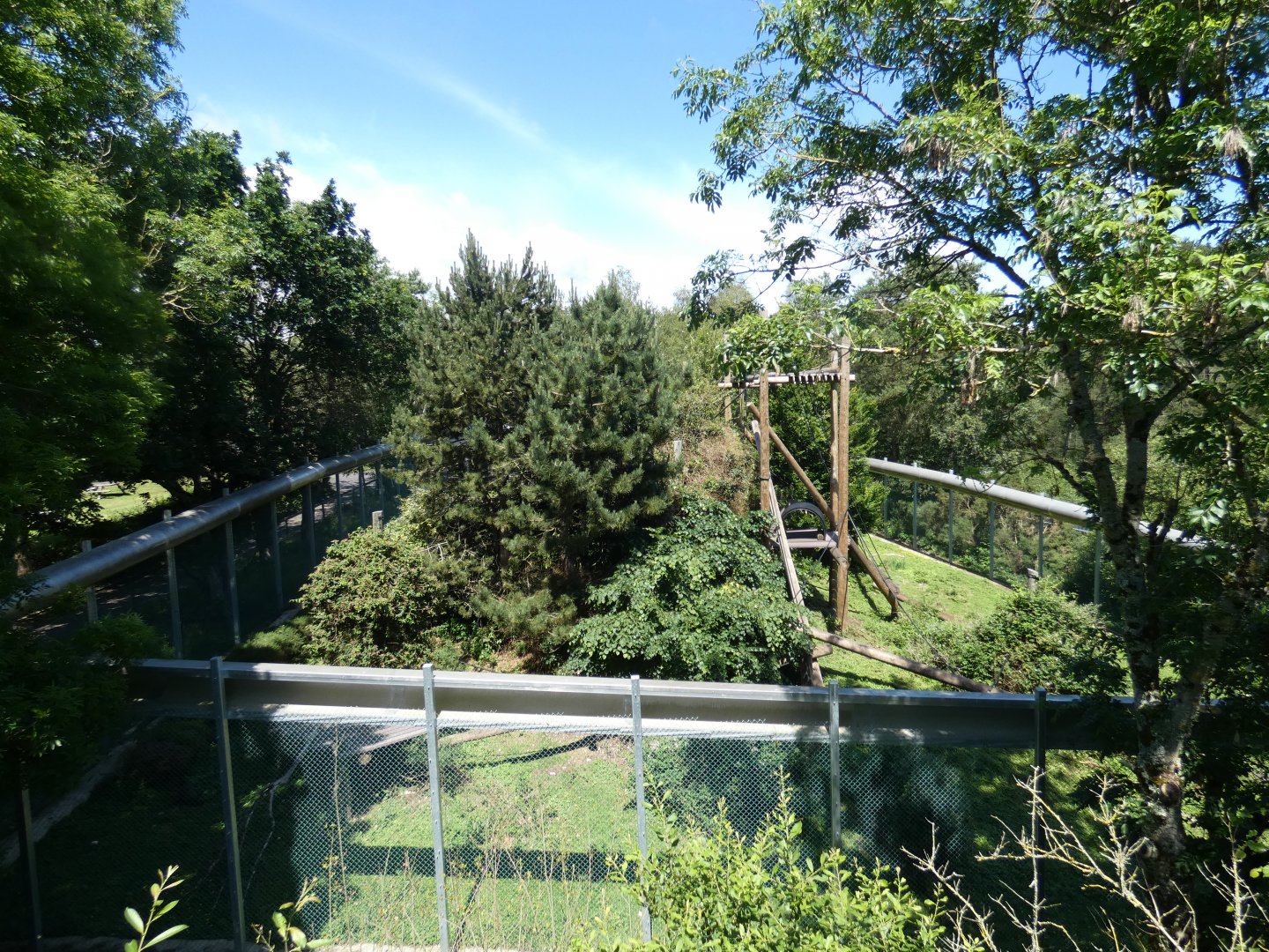 Woolly monkey enclosure