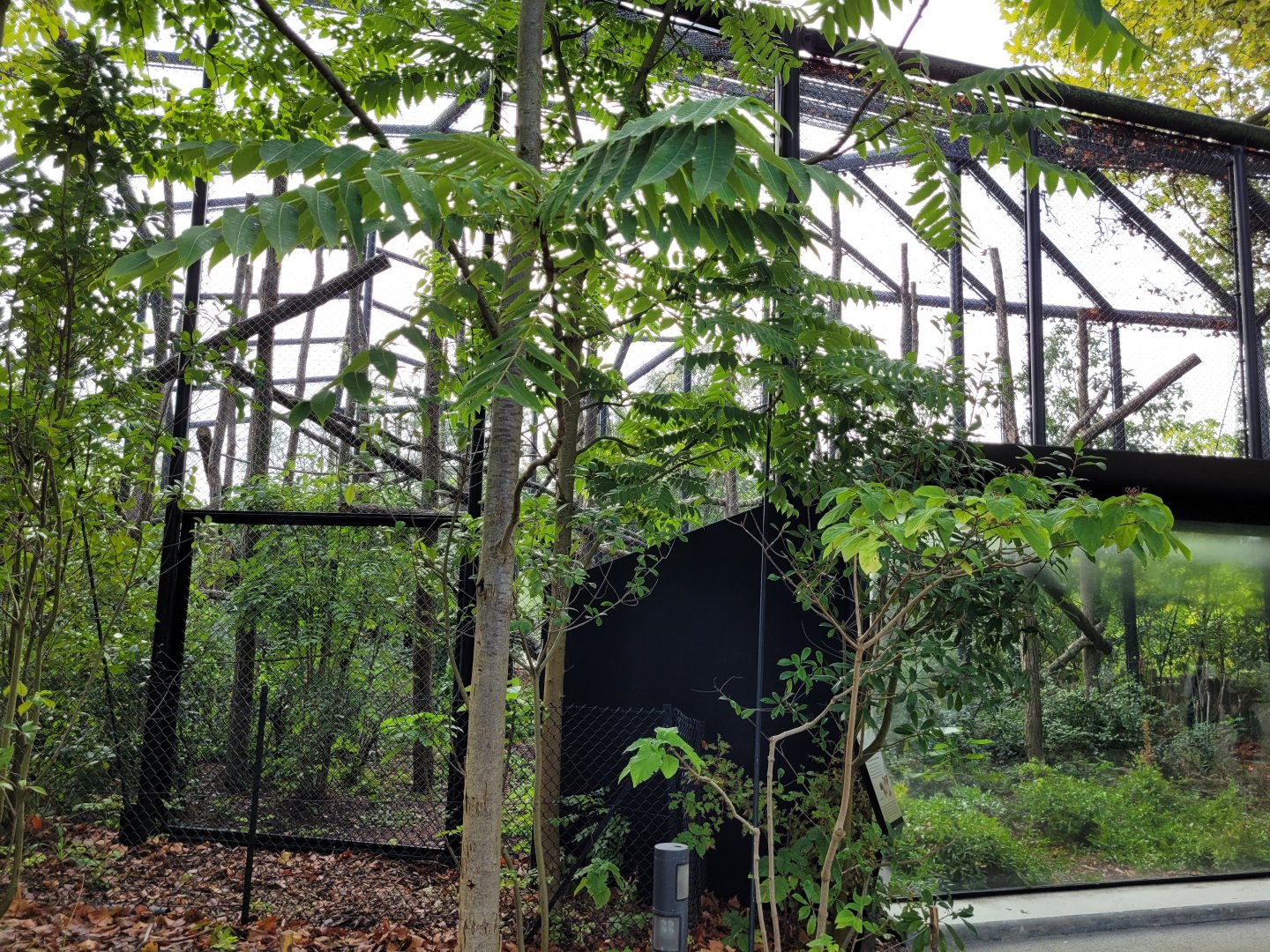 Woolly monkey exhibit -Parc Zoologique de Paris (2022)