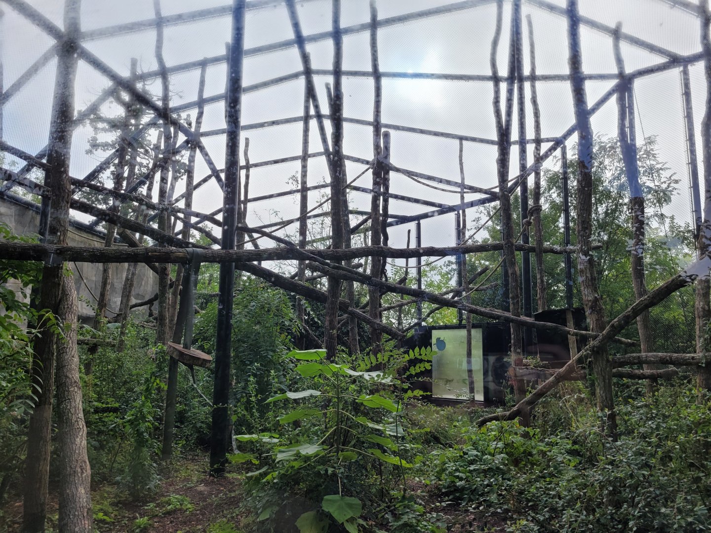 Woolly monkey exhibit -Parc Zoologique de Paris (2022)