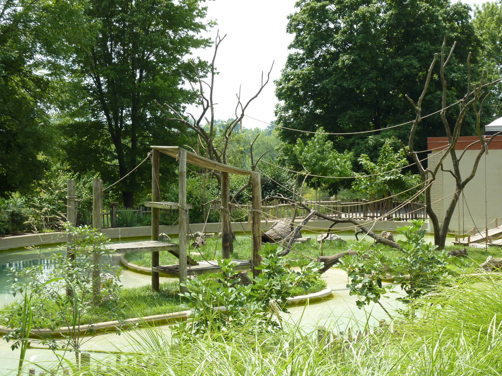 Woolly Monkey Exhibit