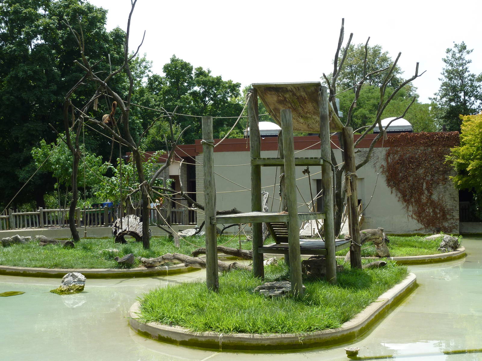 Woolly Monkey Exhibit