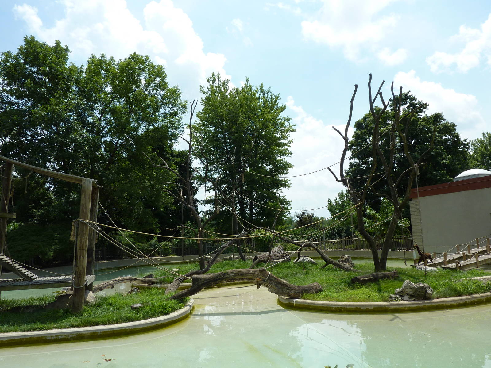 Woolly Monkey Exhibit