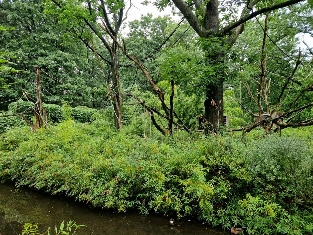 Woolly Monkey exhibit