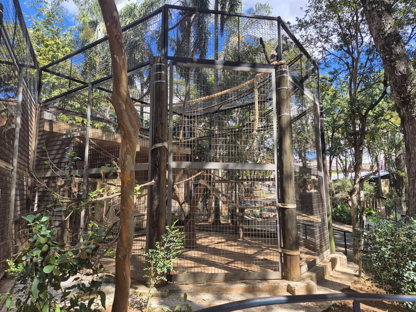 Woolly monkey exhibit