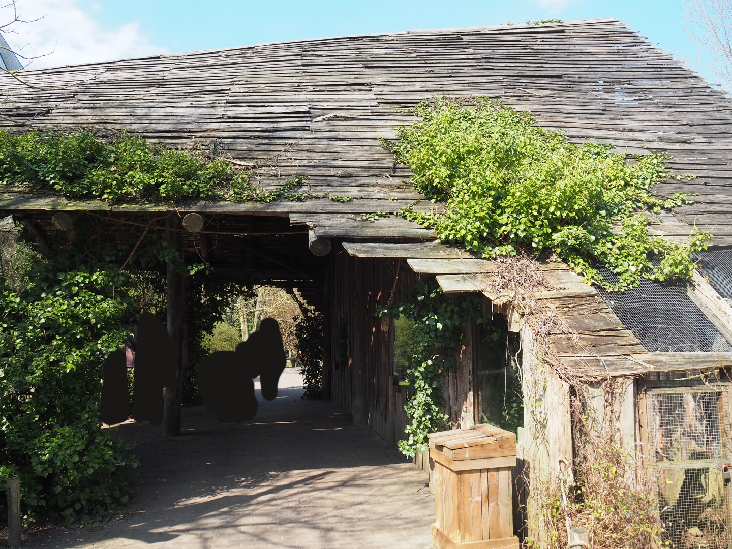 Woolly monkey house, 2019-03-30