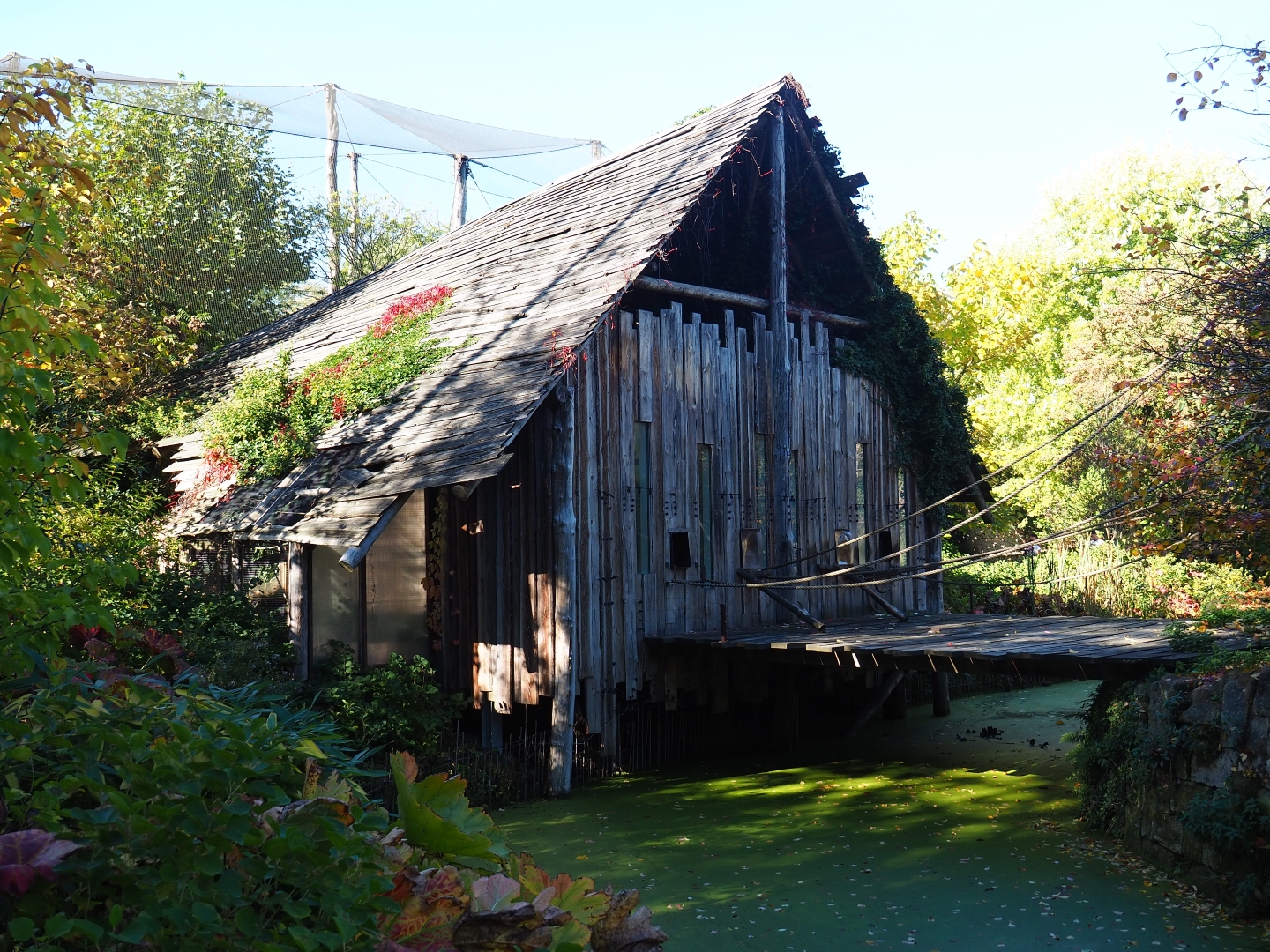 Woolly monkey house (Oct 13th, 2018)