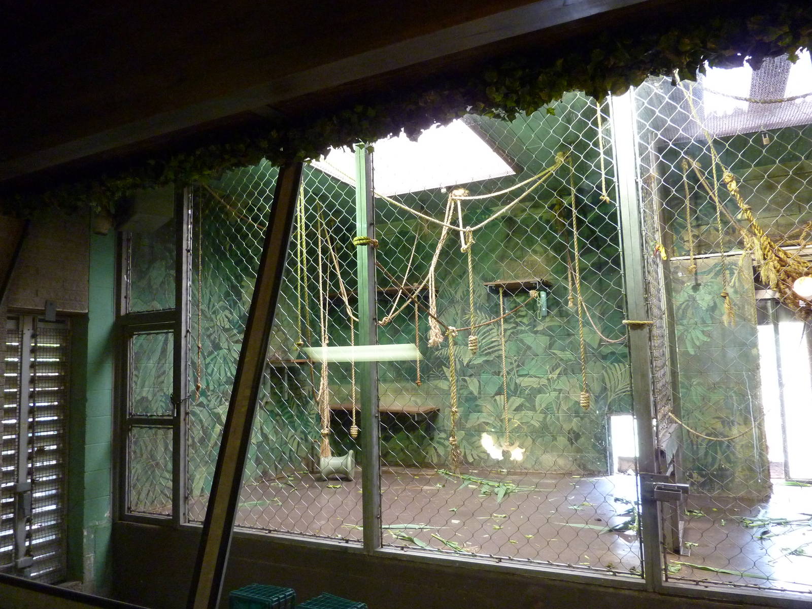 Woolly Monkey Indoor Exhibit