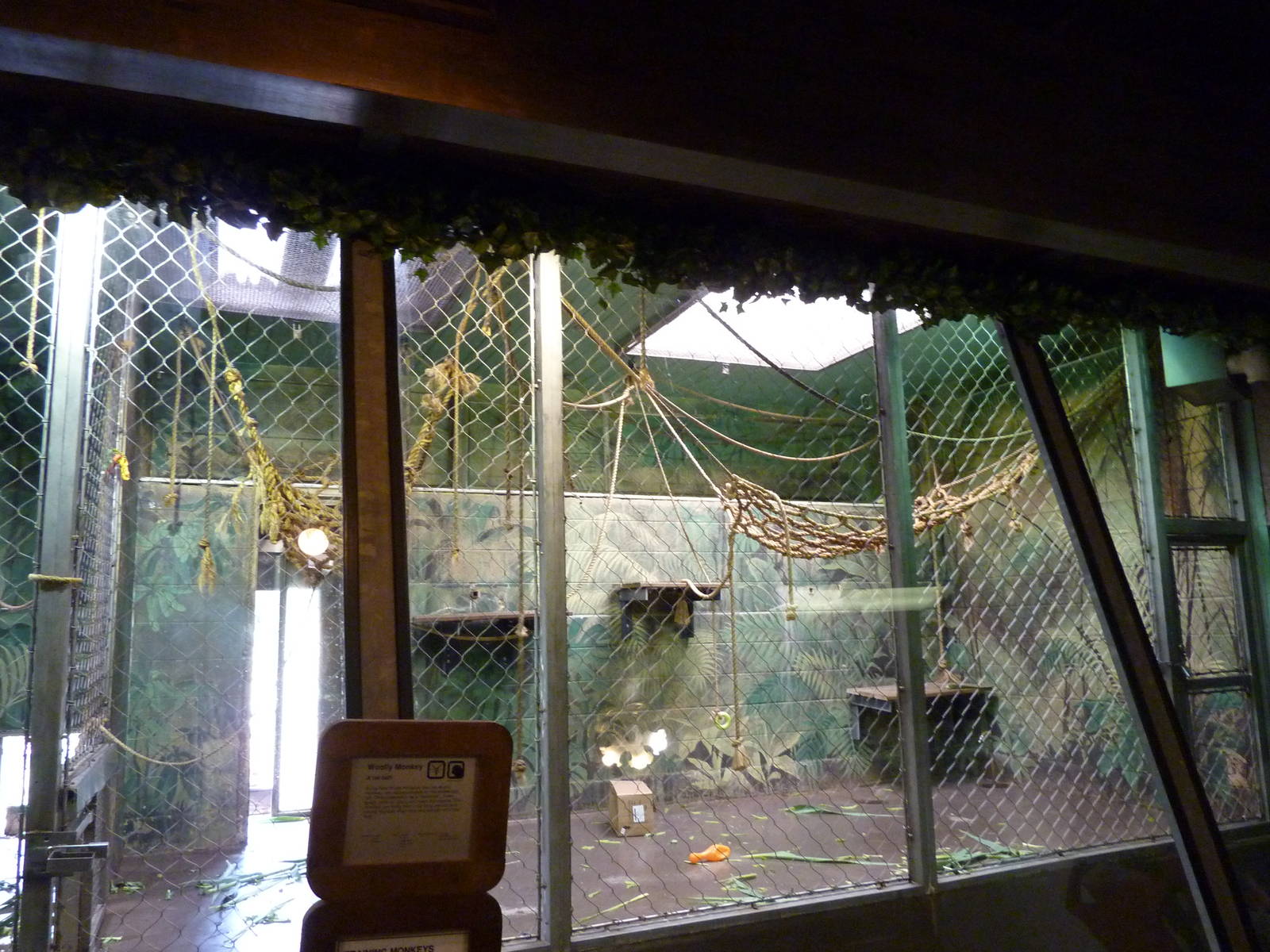 Woolly Monkey Indoor Exhibit