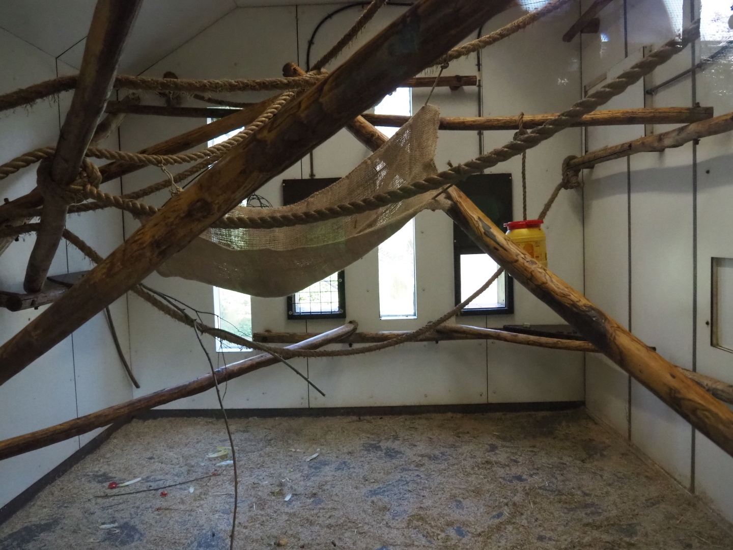 Woolly monkey indoor housing, 2019-03-30