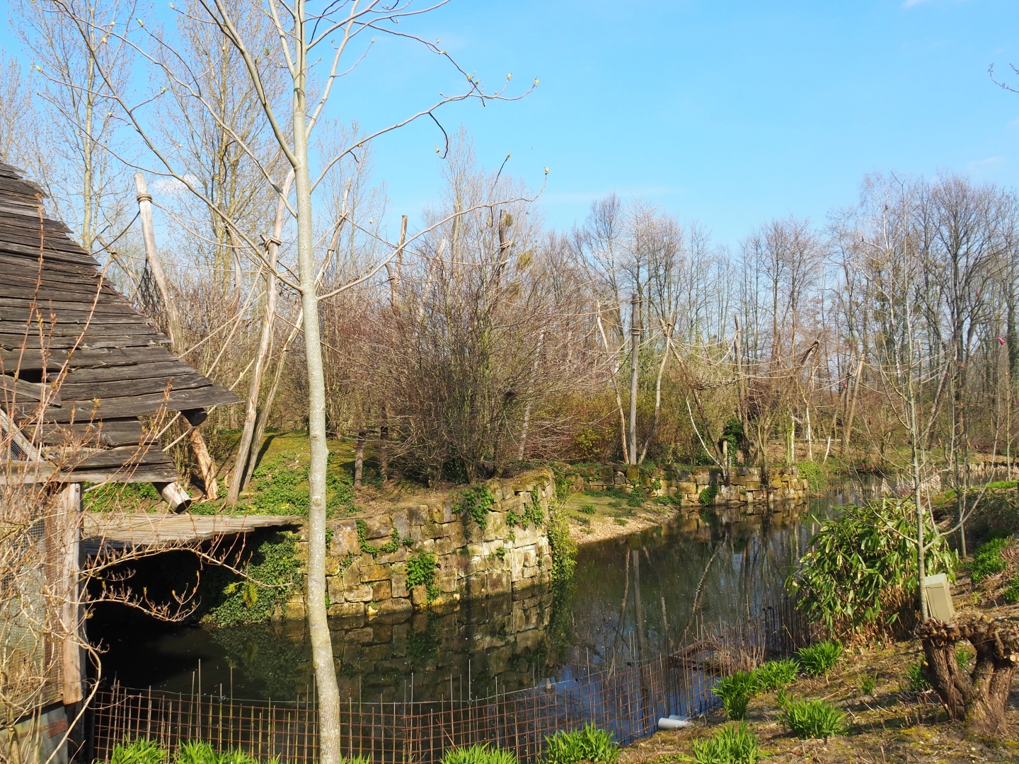 Woolly monkey island, 2019-03-30