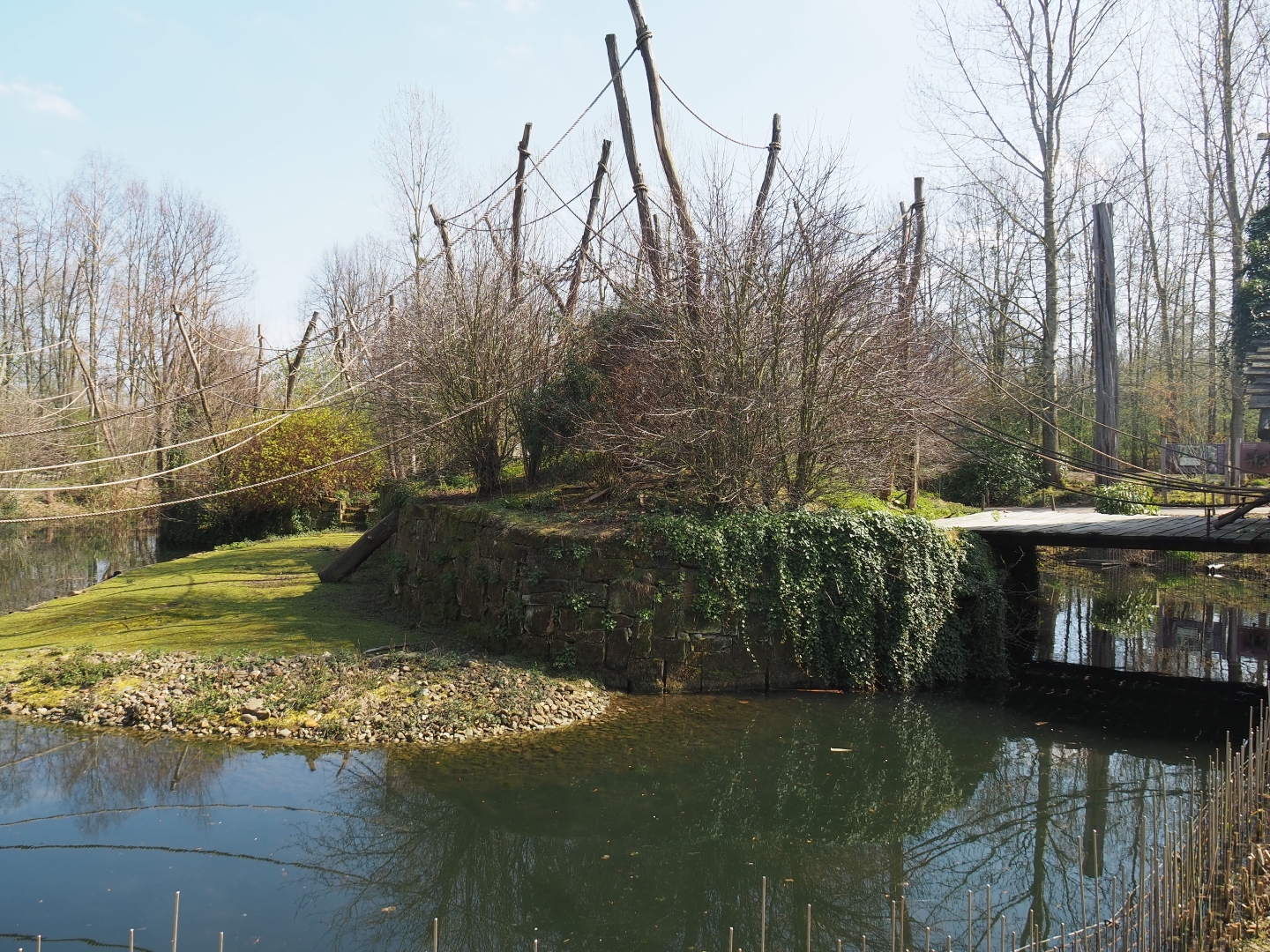 Woolly monkey island and capybara exhibit, 2019-03-30