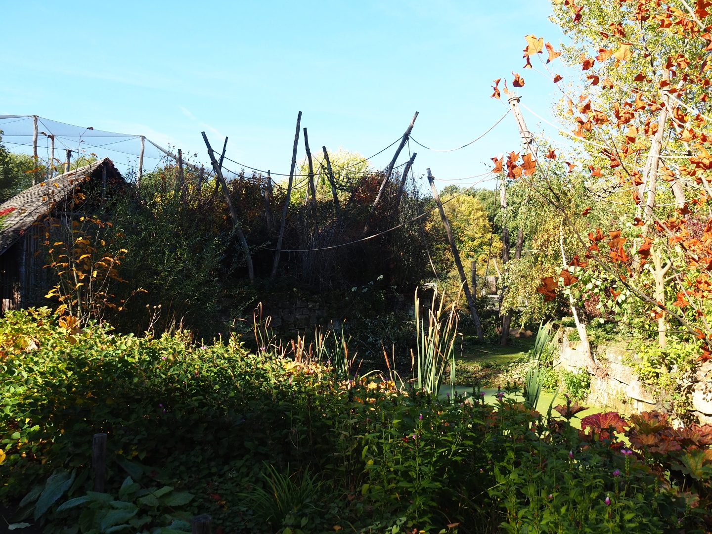 Woolly monkey island (Oct 13th, 2018)