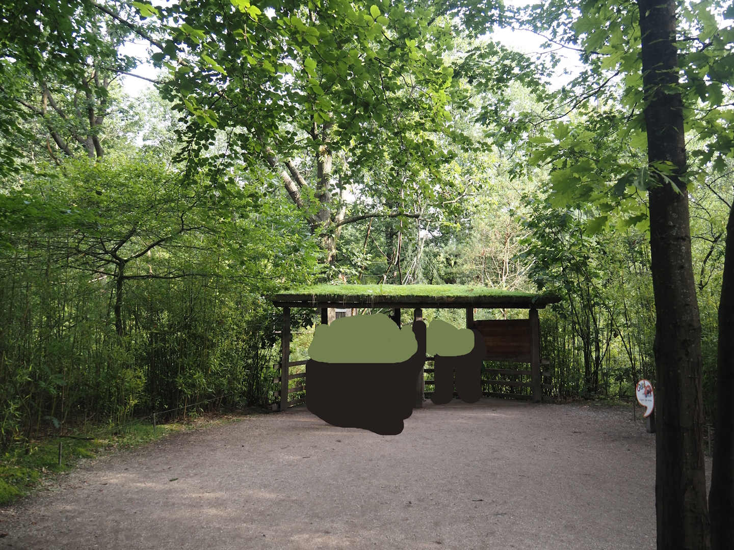 Woolly monkey island viewing area, 2024-08-18