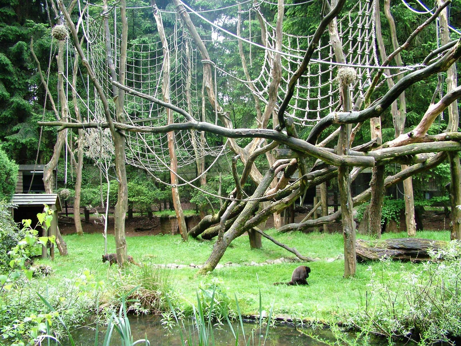 Woolly Monkey/Pudu Enclosure at Apenheul, 30/05/12