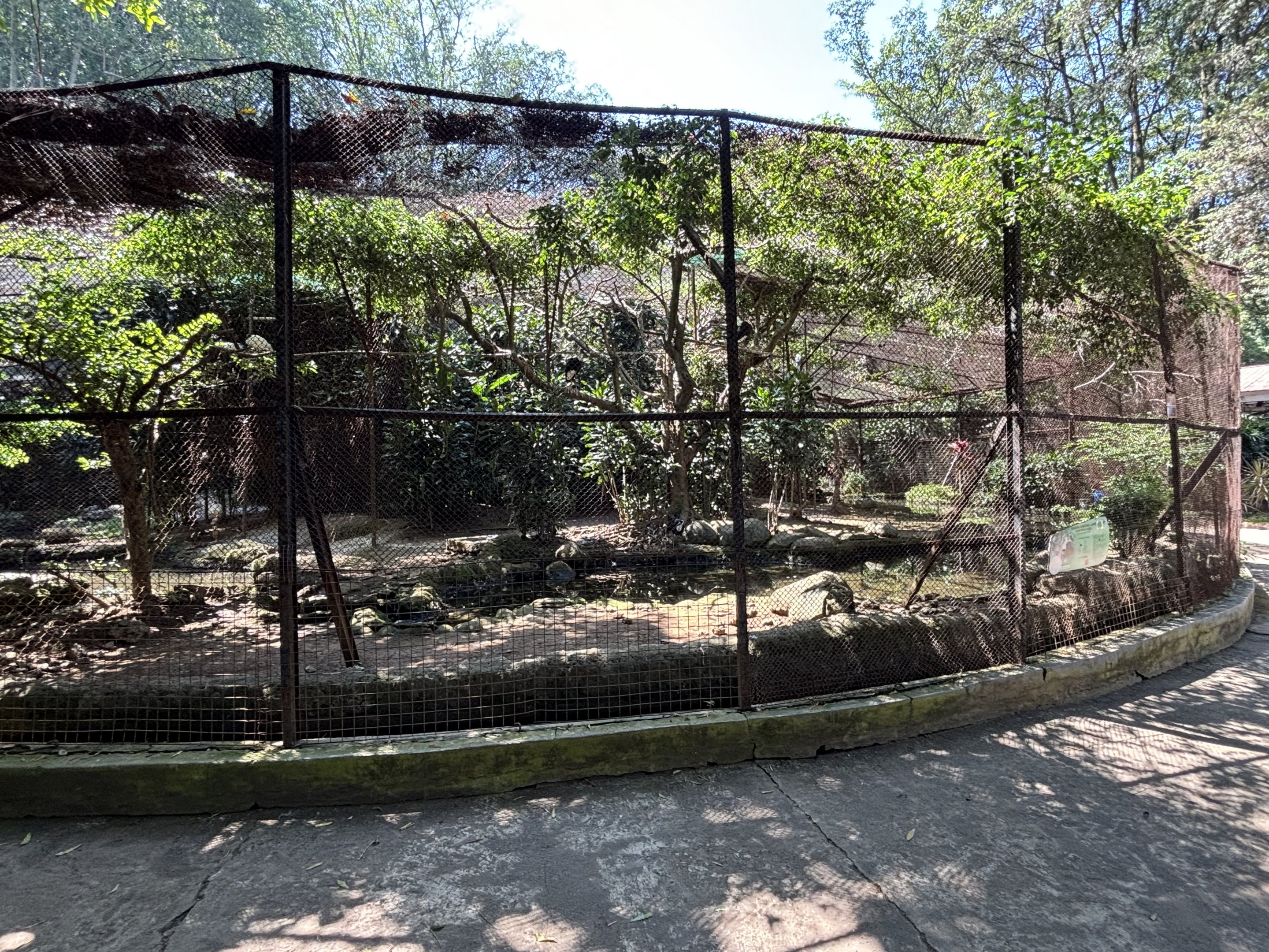 Woolly-necked Stork Aviary