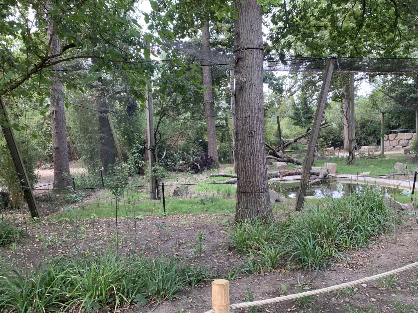 Woolly-necked Stork aviary