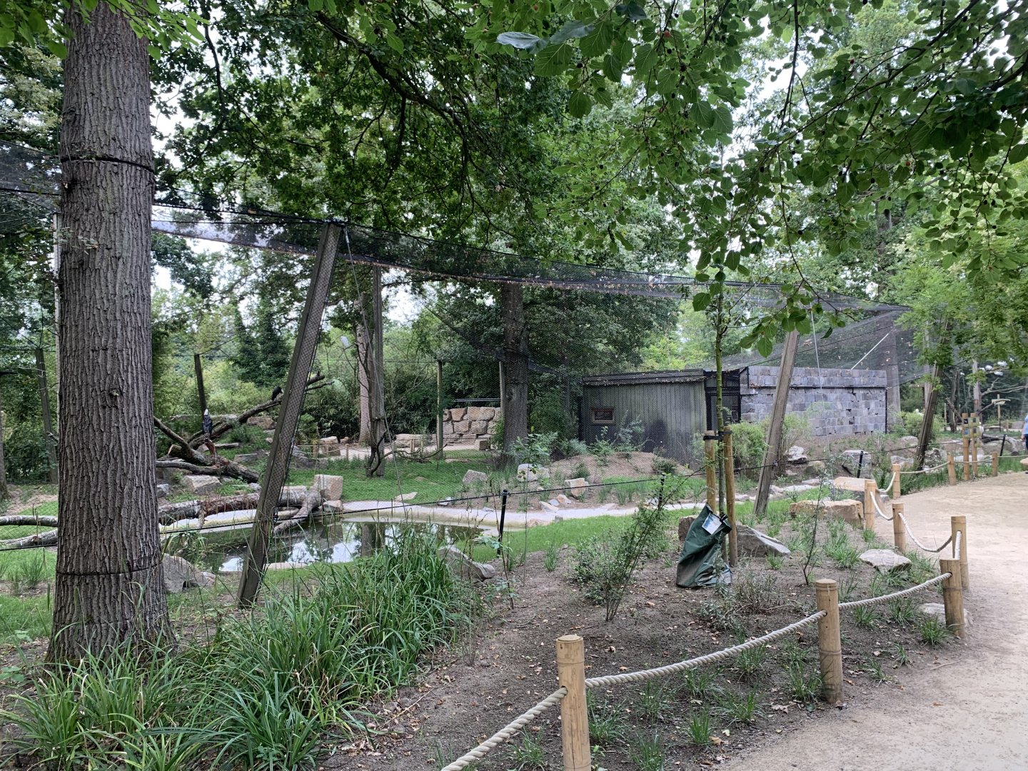 Woolly-necked Stork aviary