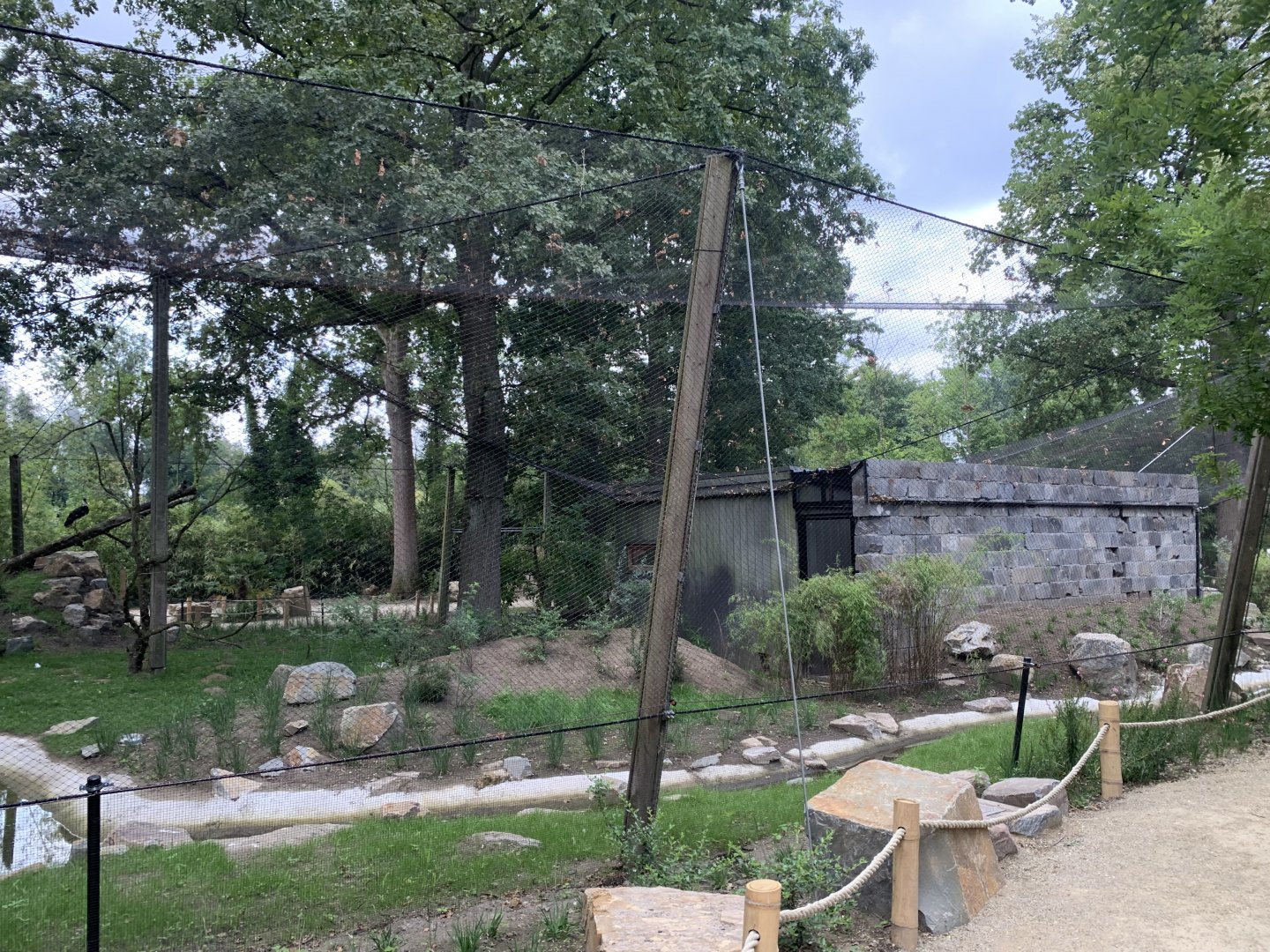 Woolly-necked Stork aviary