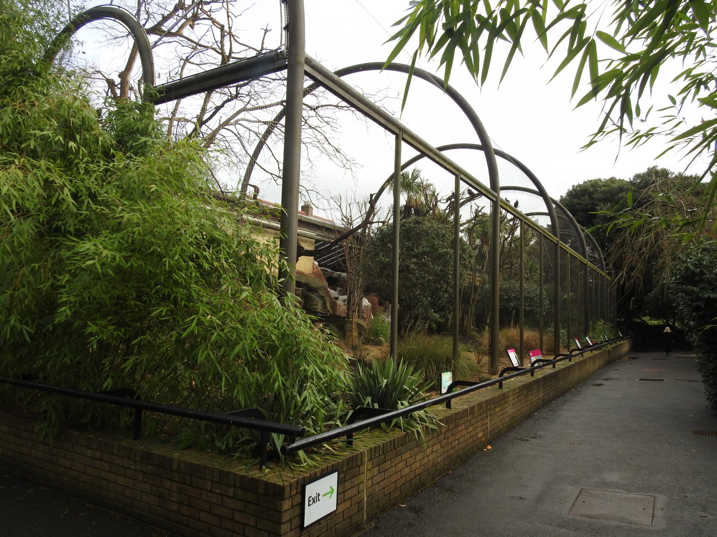 Woolly-Necked Stork (Ciconia episcopus), Northern Bald Ibis (Geronticus eremita) and African Harrier Hawk (Polyboroides typus) Aviaries