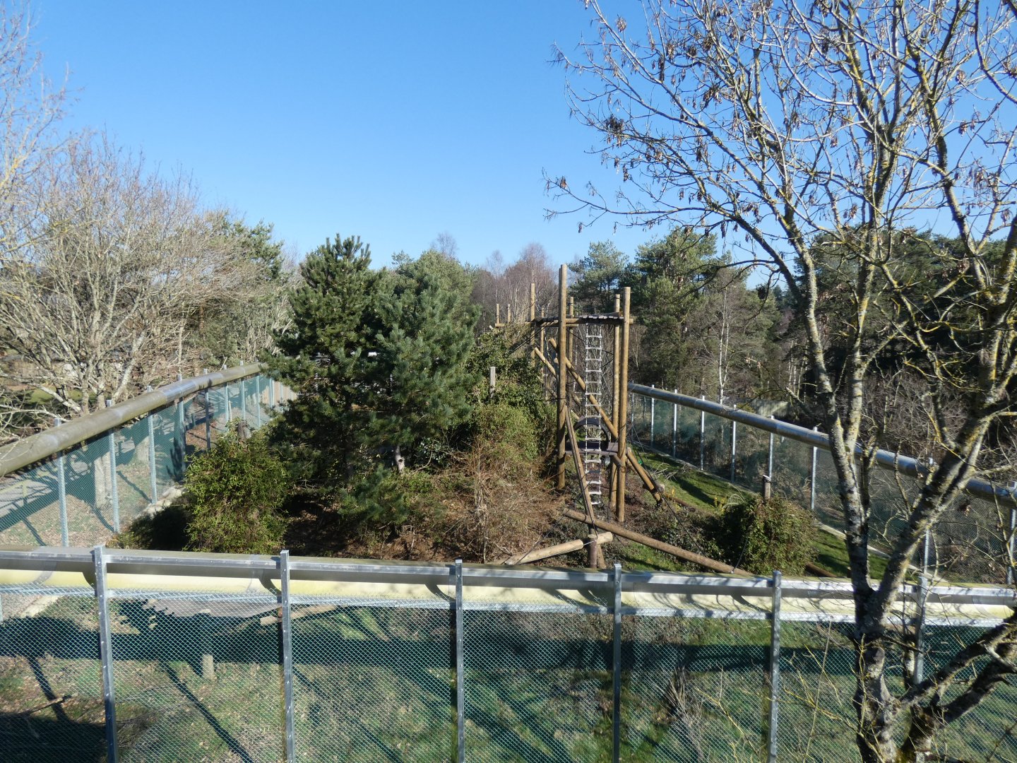 Wooly Monkey enclosure