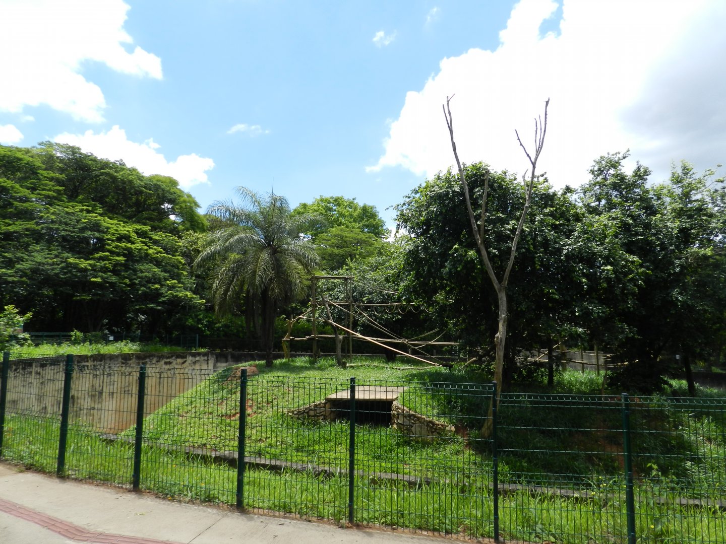 Wooly monkey exhibit - Belo Horizonte zoo