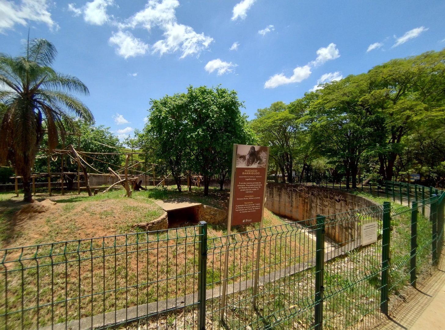 Wooly monkey exhibit  - Belo Horizonte zoo