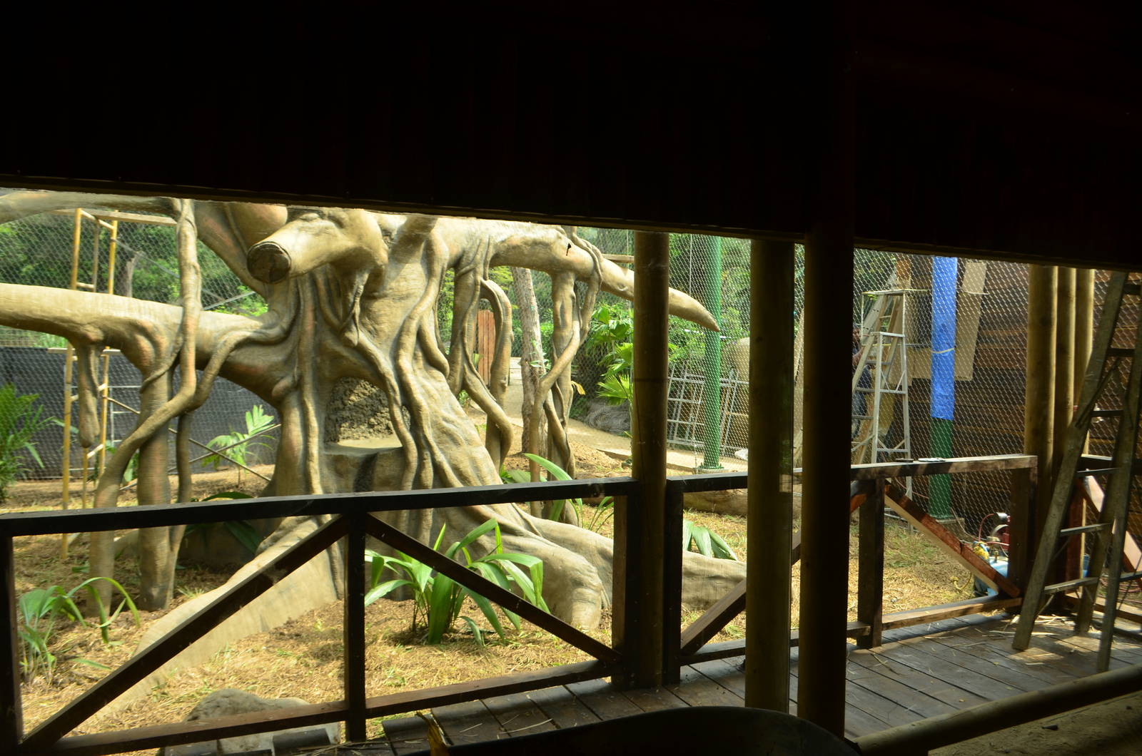 Wooly monkey exhibit