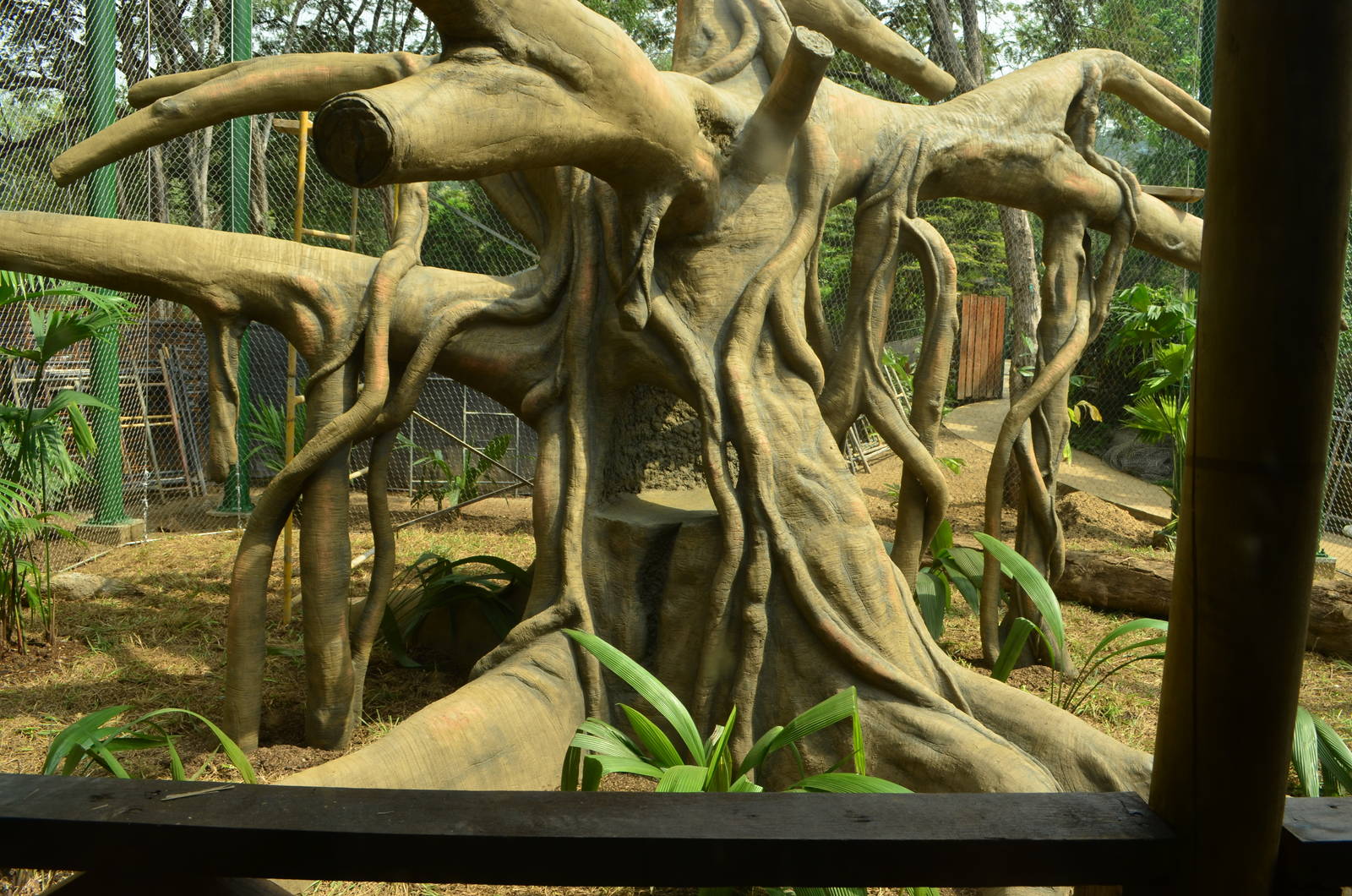 Wooly monkey exhibit