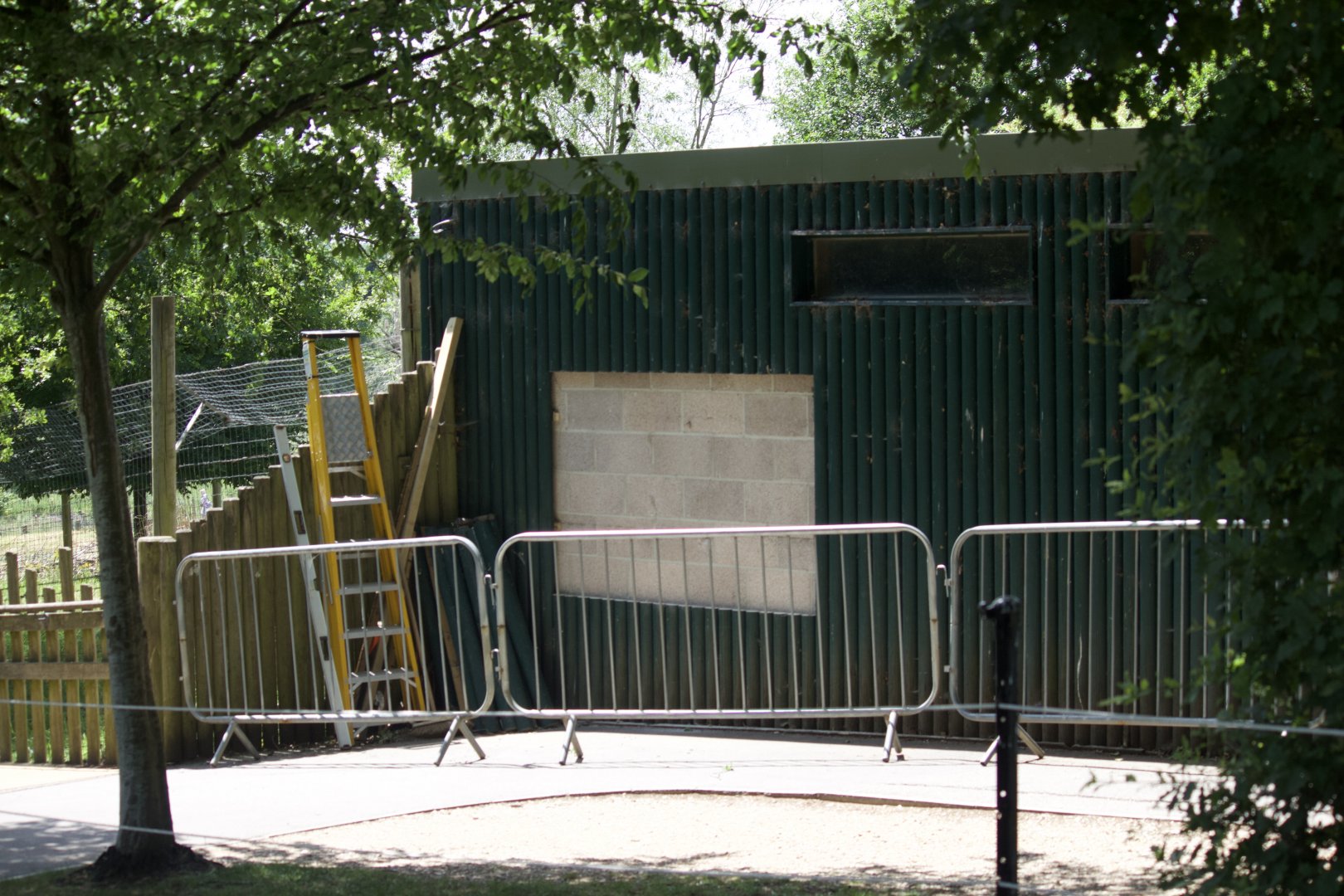 Work at the Serval enclosure