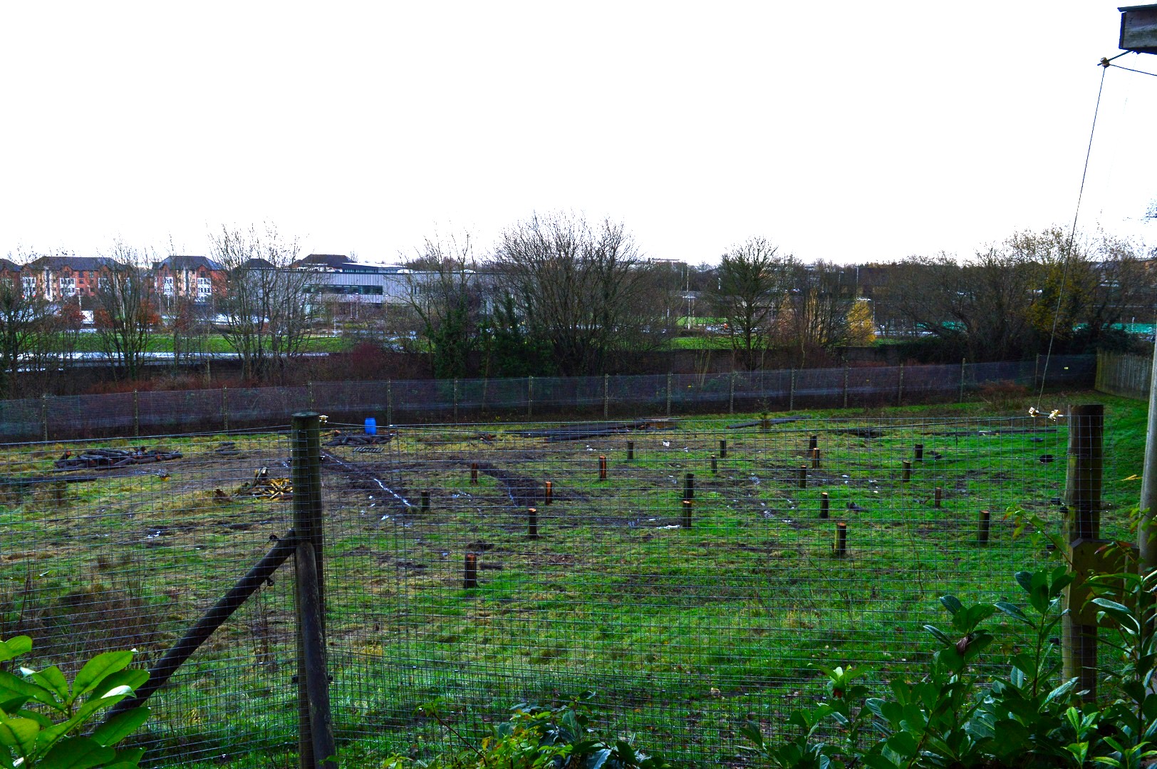 Work in chimp enclosure.