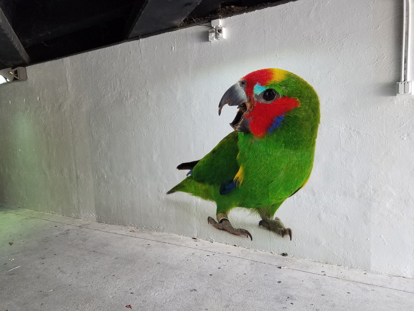 Work in progress of Joel Sartore collection at the zoo