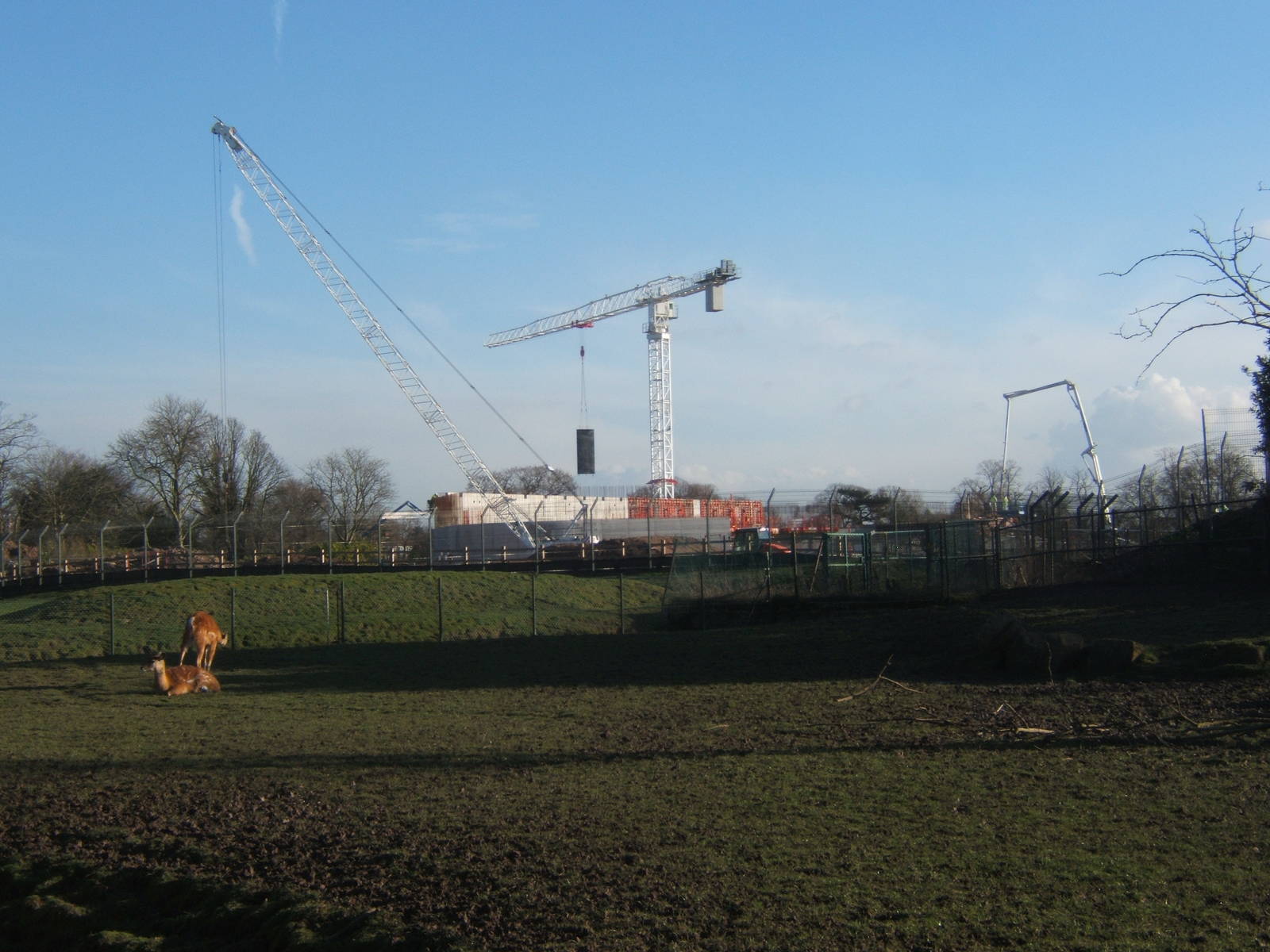 Work in progress on Islands