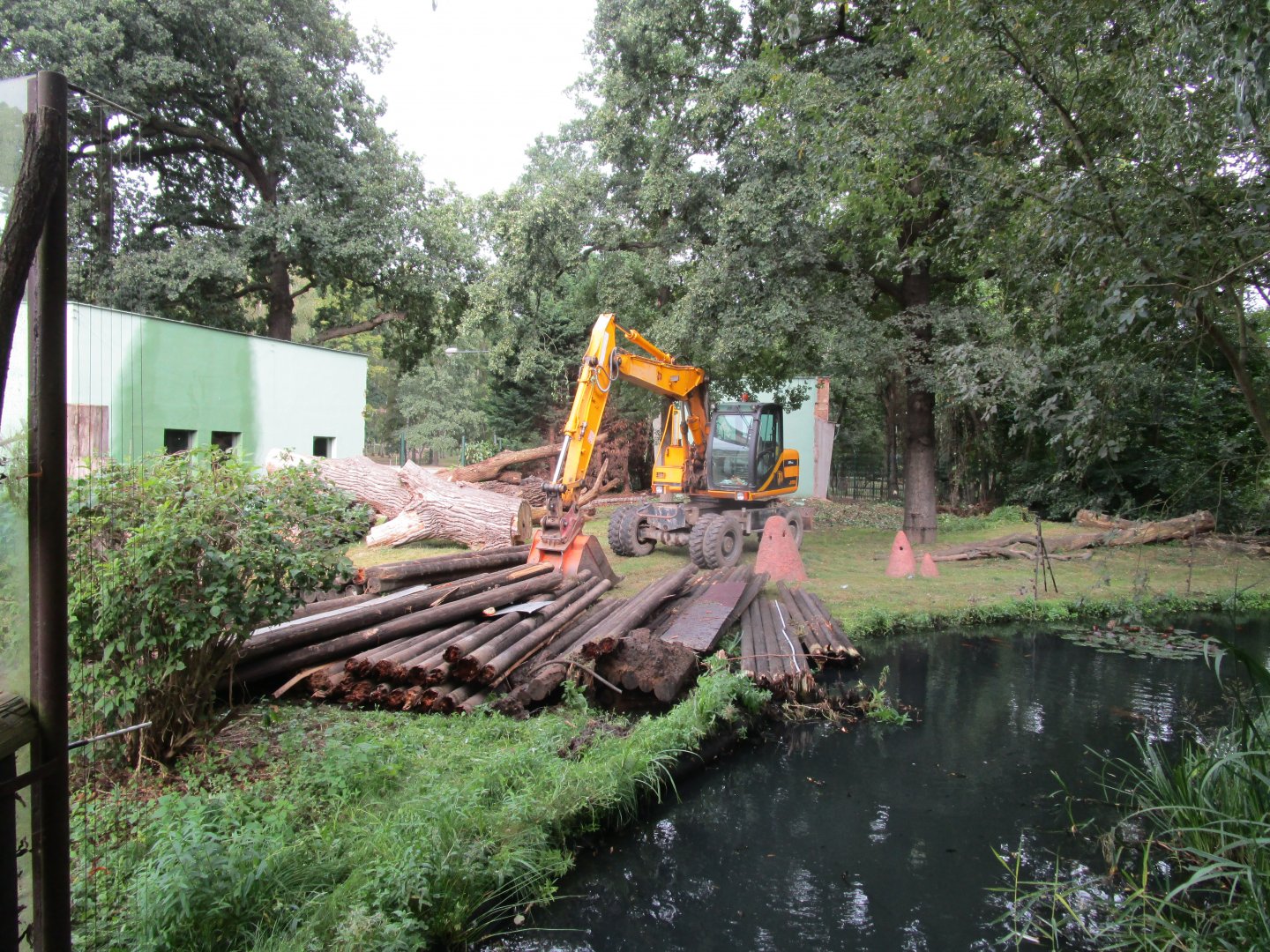Work in the Chimpanzee Exhibit