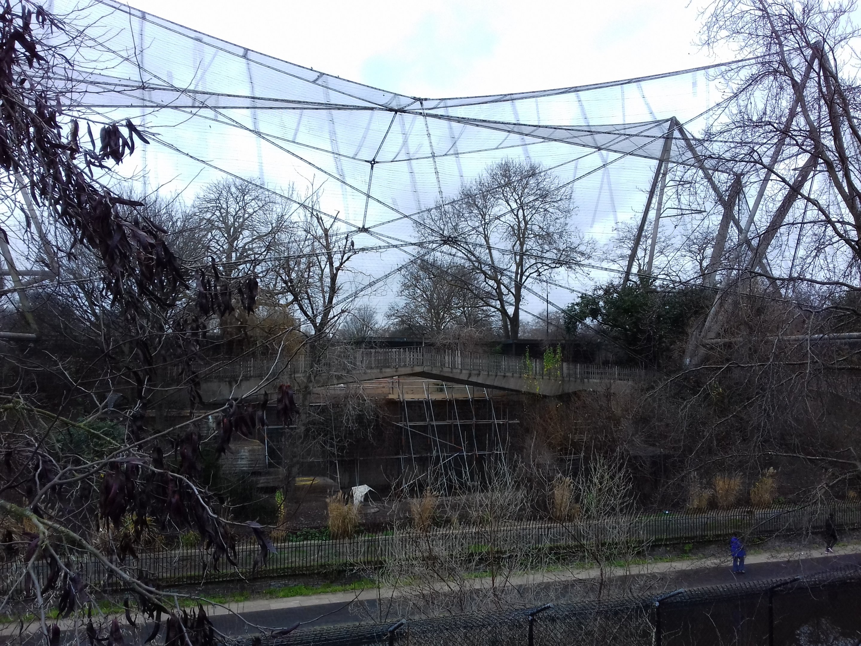 Work in the Snowdon Aviary 12/01/2019