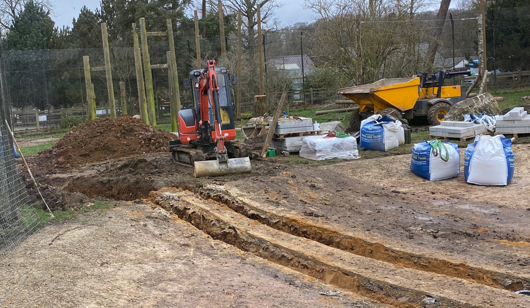 Work in the tiger enclosure...pond, ZSL Whipsnade