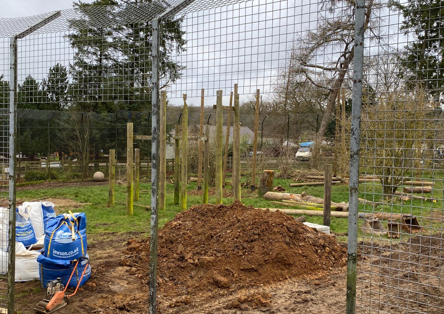 Work in the tiger enclosure, ZZL Whipsnade