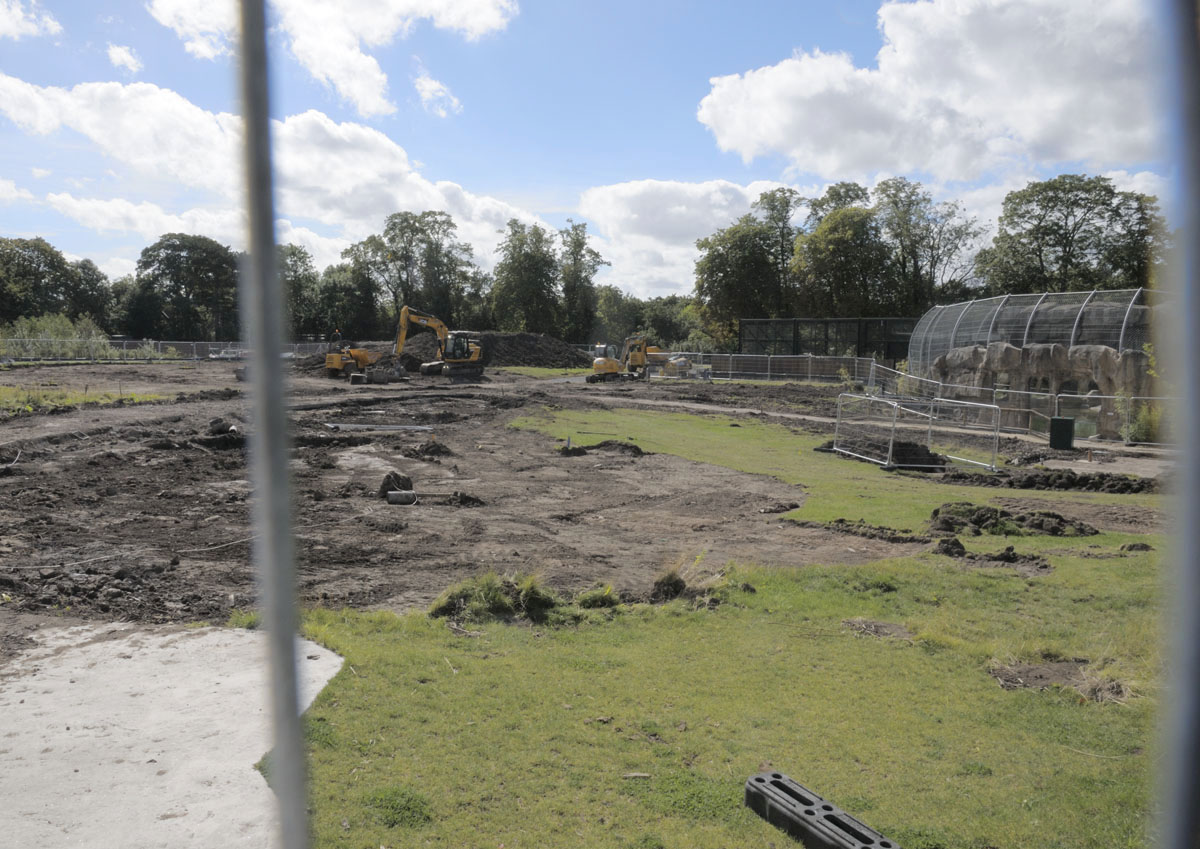 Work is underway in Islands