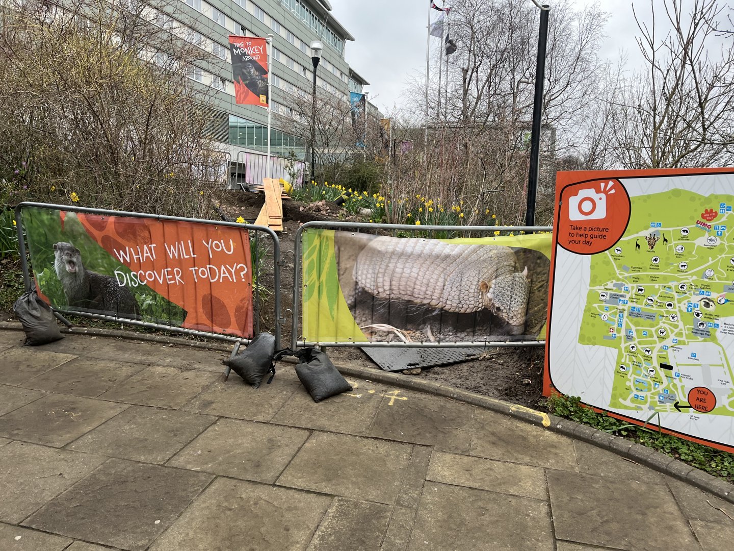 Work near entrance of the zoo 9.3.24