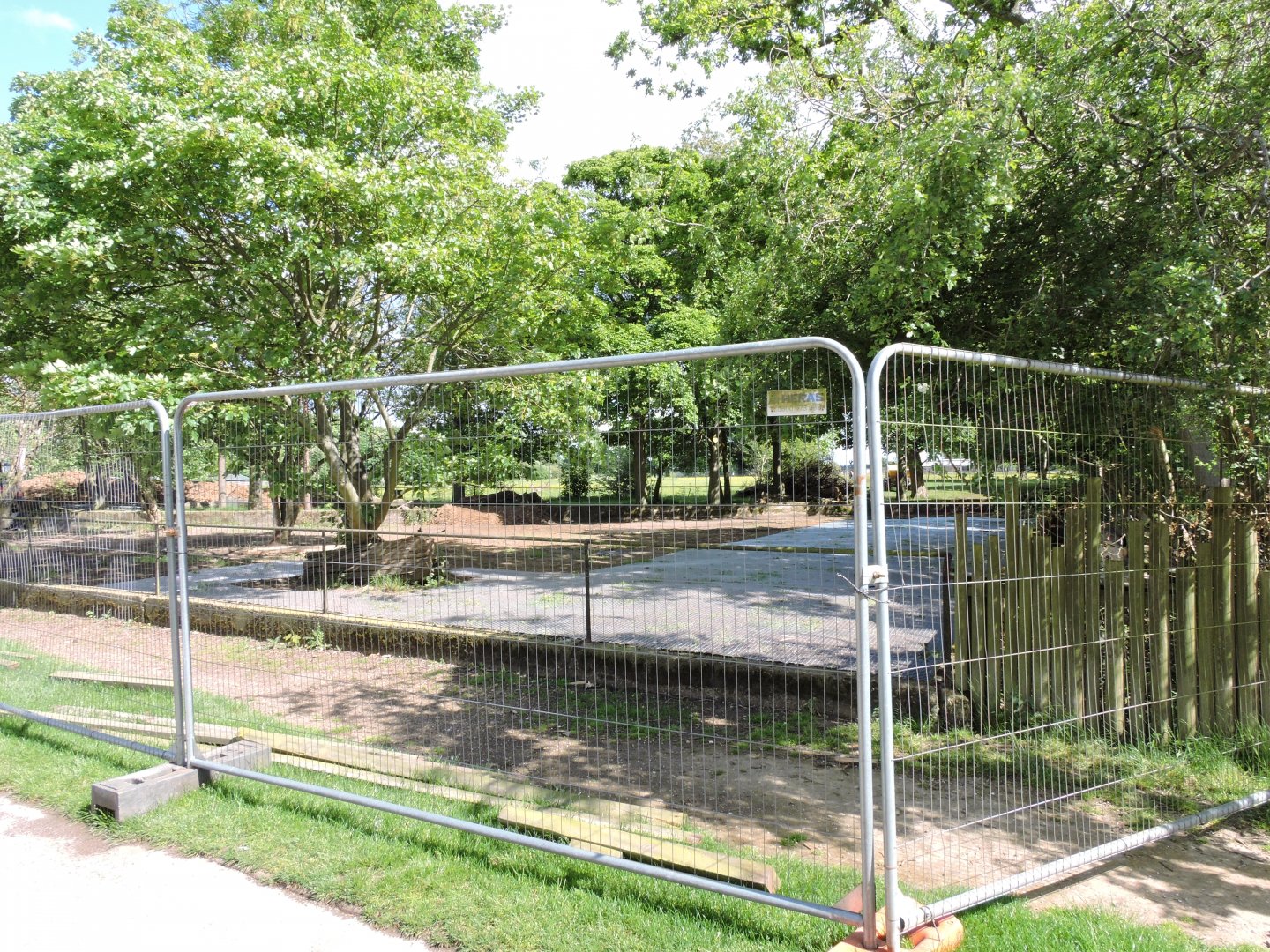 Work Next To Meerkats