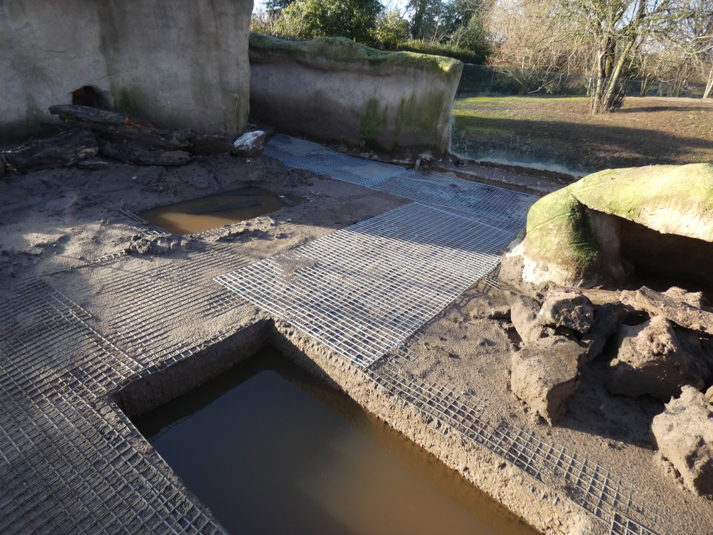 Work on Aardvark enclosure