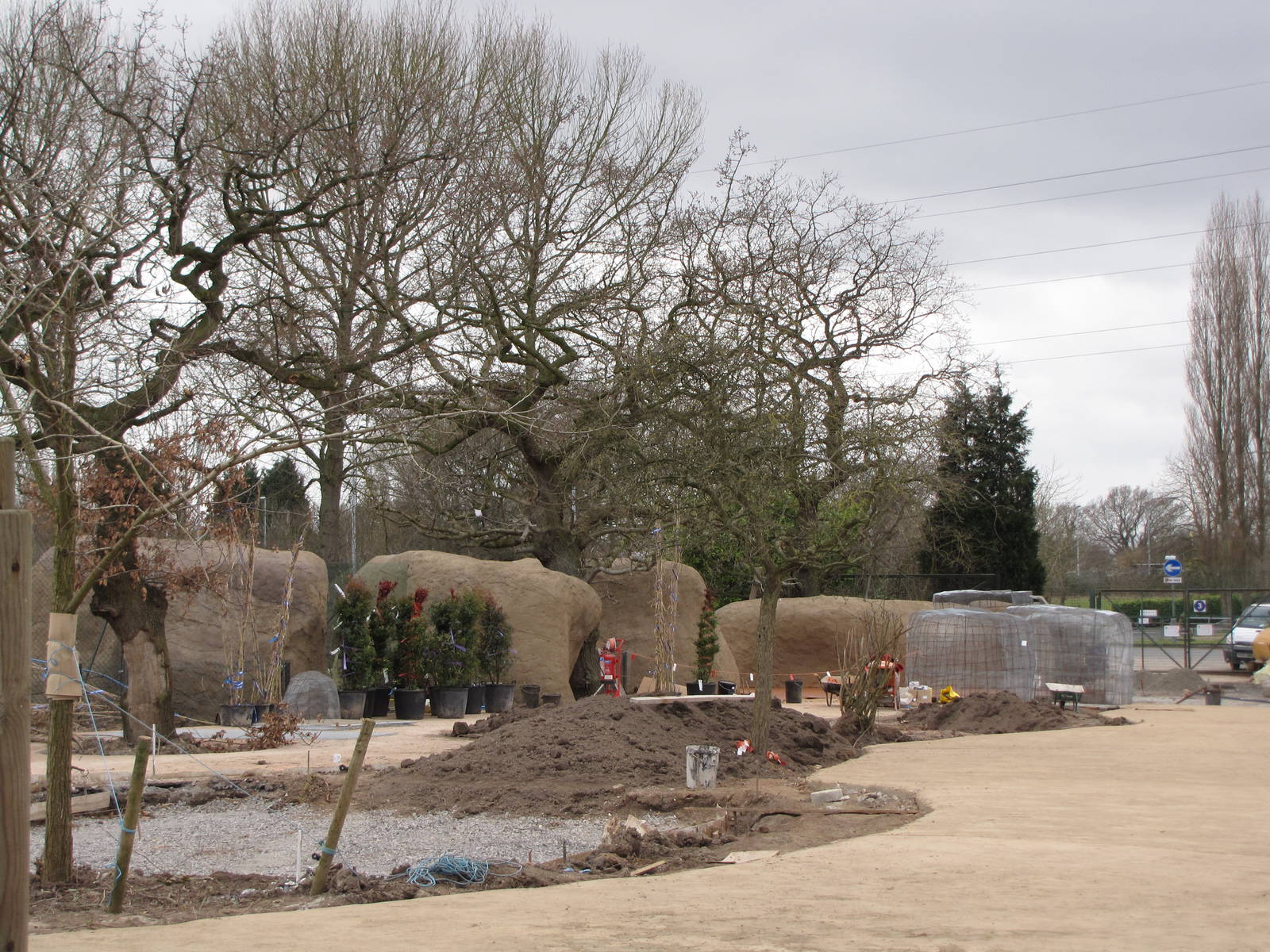 Work on African Painted Dogs exhibit