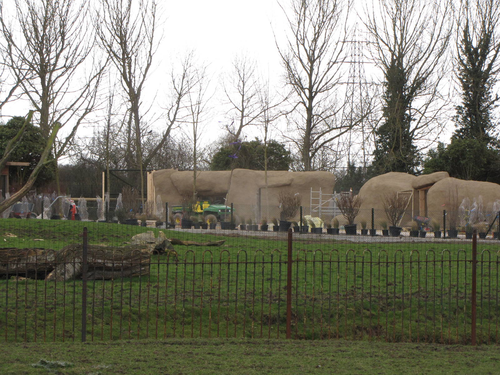 Work on African Painted Dogs exhibit