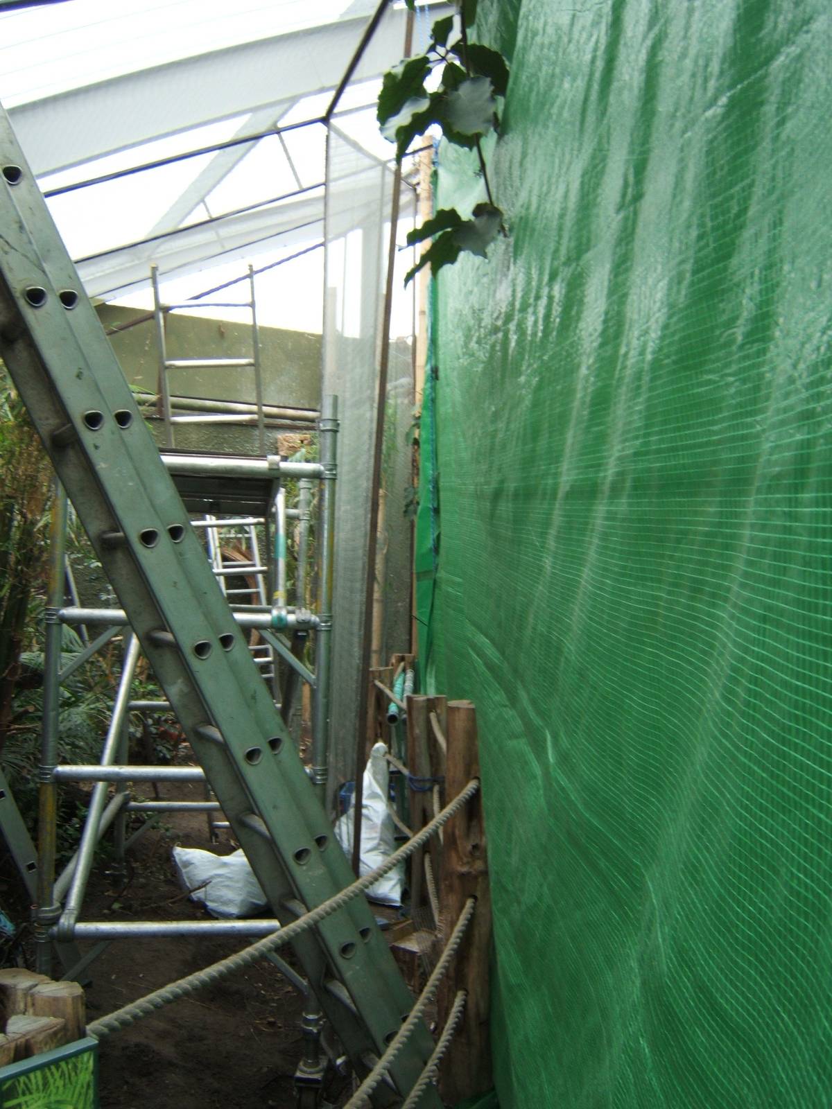 Work on Aviary in Realm of the Red Ape