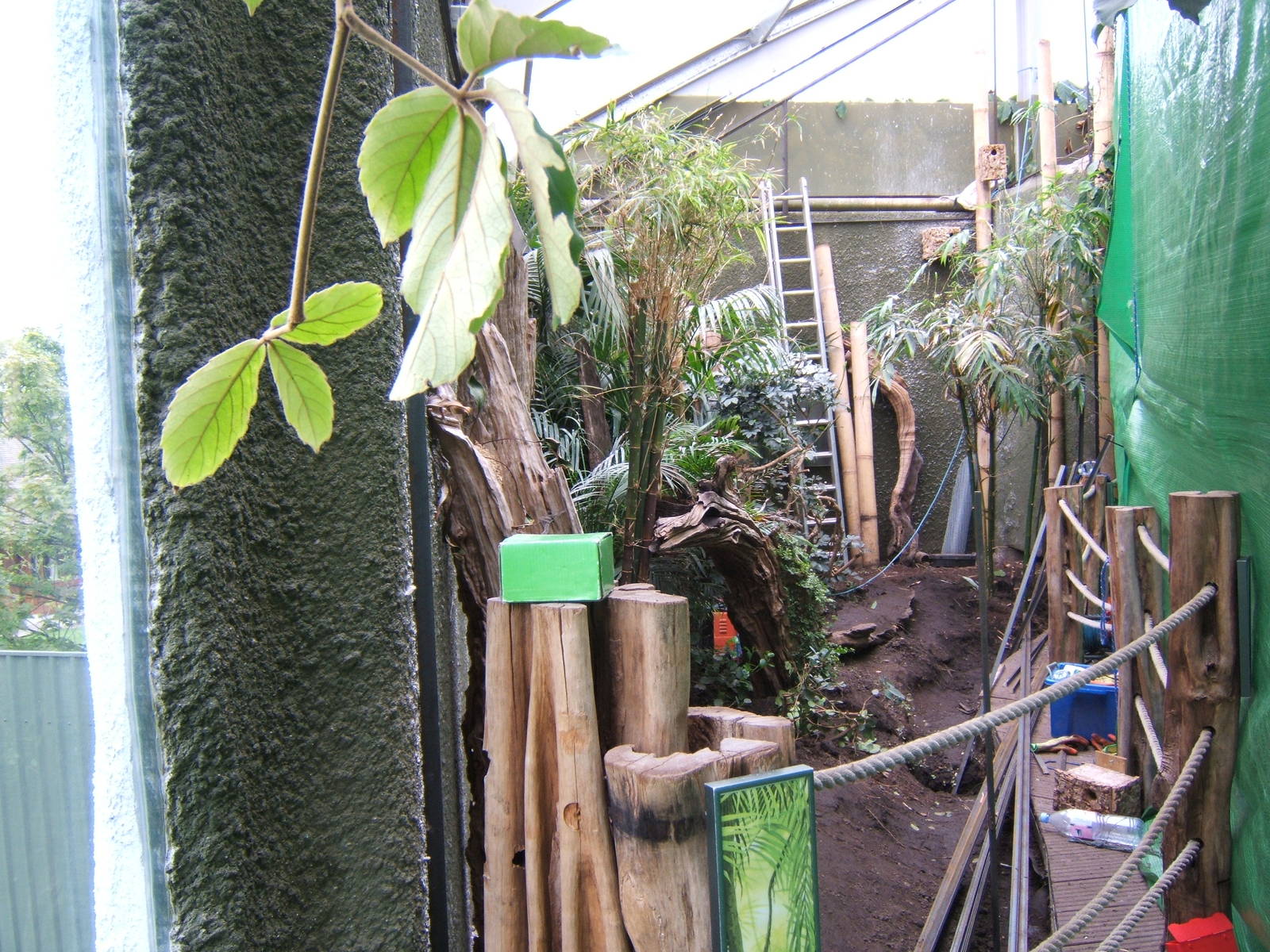 Work on Aviary in the Realm of the Red Ape