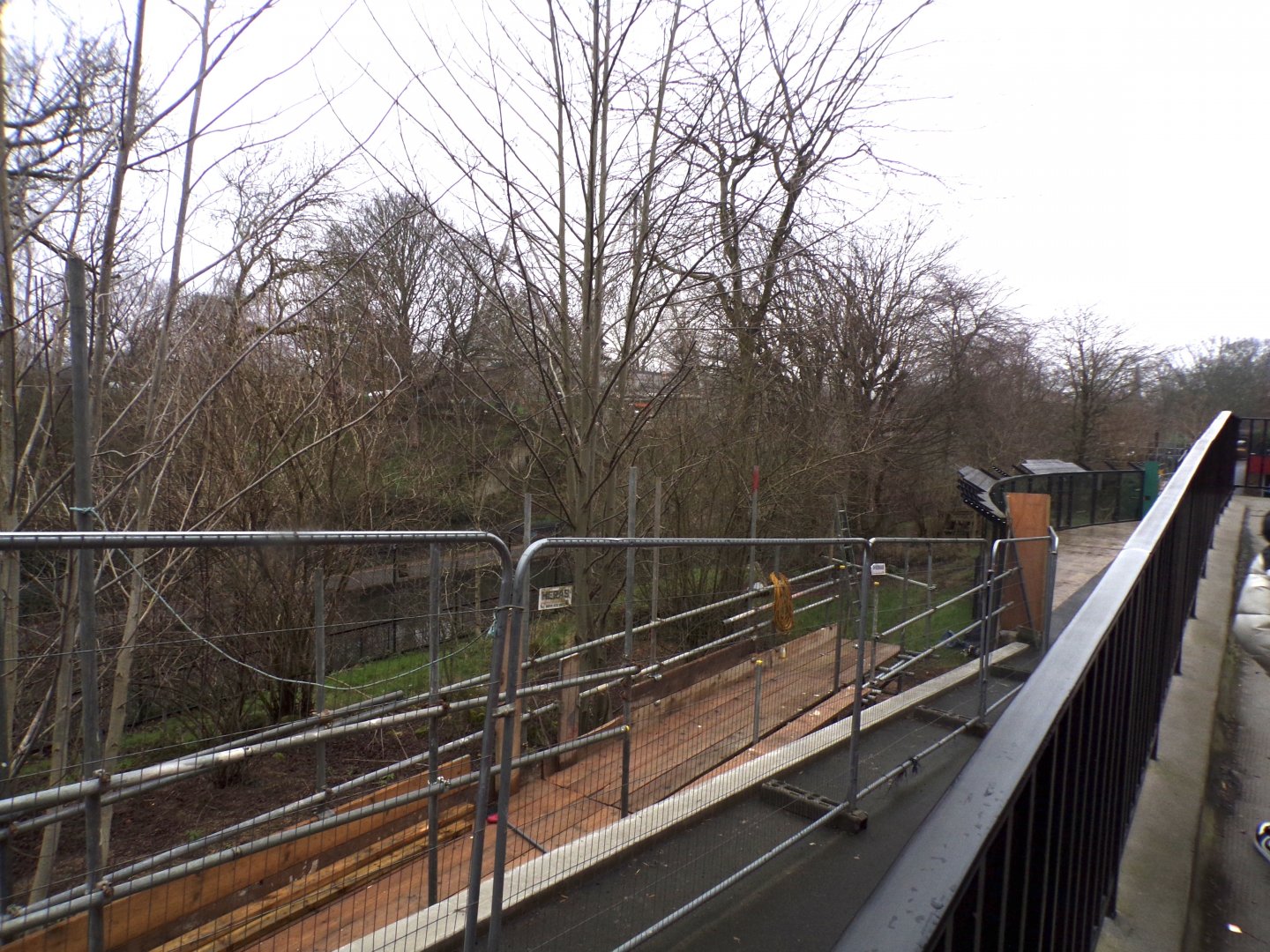 Work on former African wild dog enclosure 11.2.25
