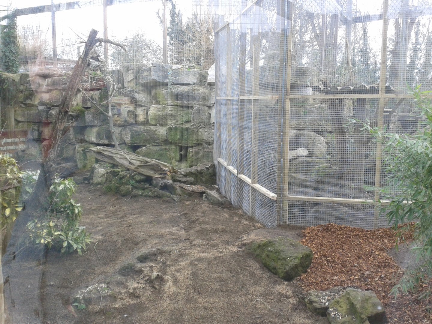 Work on former Lynx enclosure