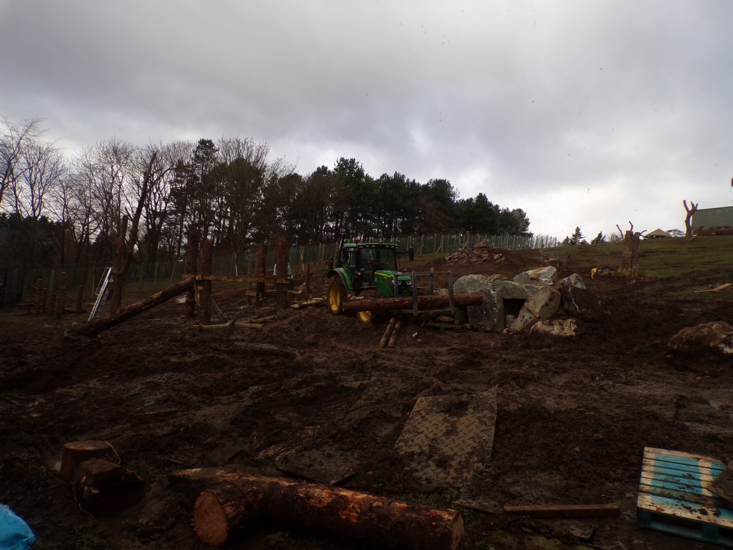 Work on gelada enclosure  16.2.24